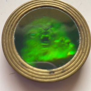 Holograph Lion Pog Holographic